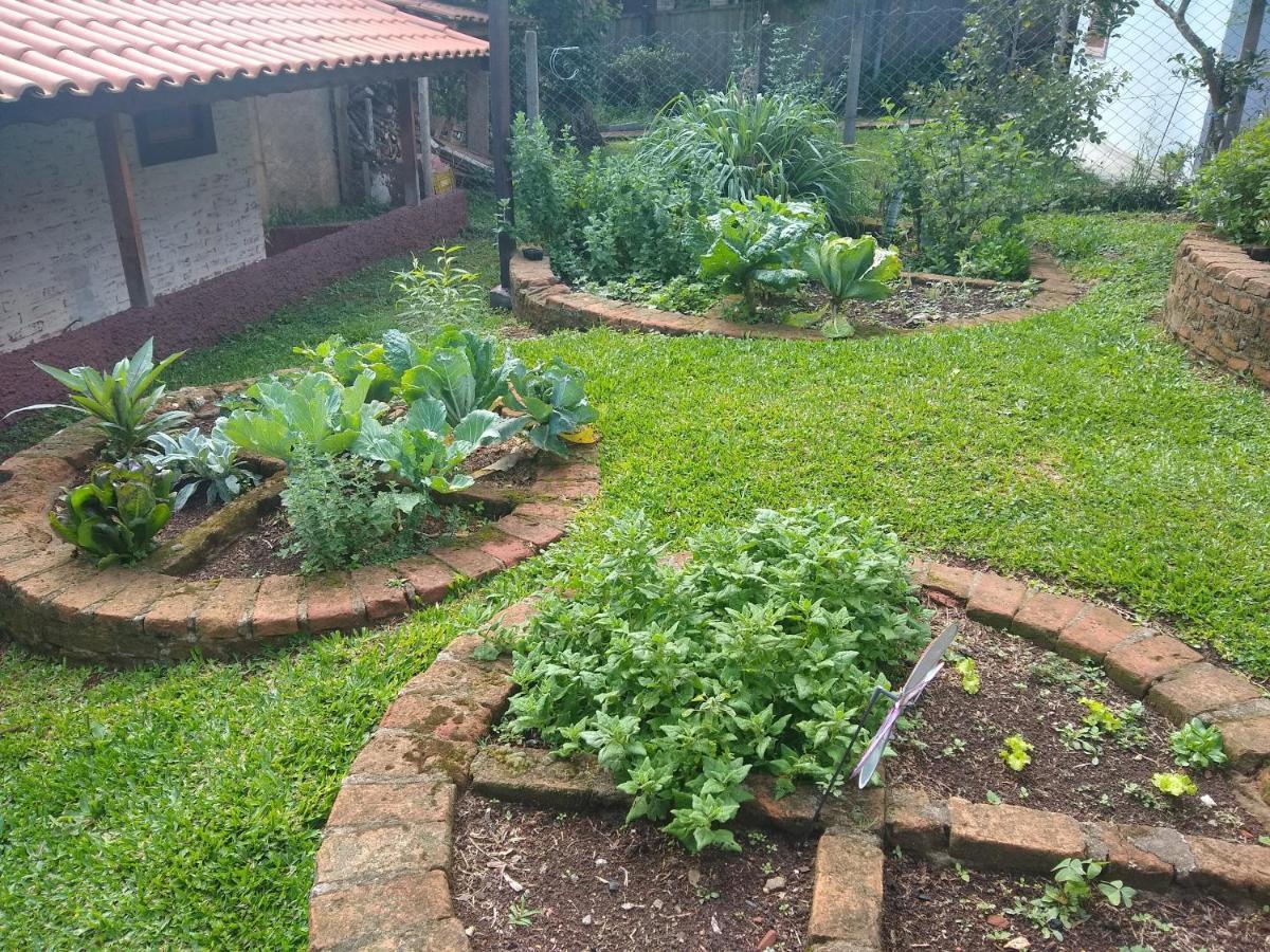 Cantinho Do Canarinho Leilighet Monte Verde  Eksteriør bilde